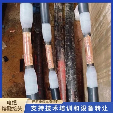 泰安市云前网络科技与上海网络技术转让合作探析